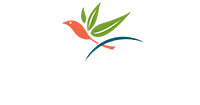 Como Park Zoo & Conservatory